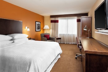 Room, 1 King Bed with Sofa bed