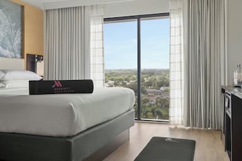 Room, 1 King Bed with Sofa bed