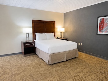 Deluxe Single Room, 1 Queen Bed, Non Smoking, Kitchenette