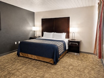 Single Room, 1 King Bed, Non Smoking, Kitchenette