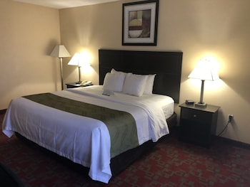 Room, 1 King Bed, Non Smoking, Pet Friendly