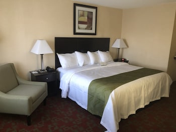Room, 1 King Bed, Non Smoking, Pet Friendly