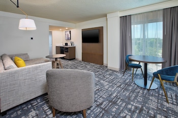 Suite, 1 Bedroom