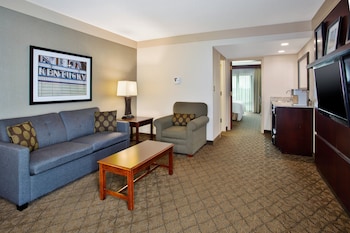 Suite, 1 King Bed