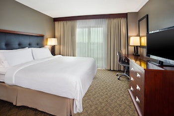 Suite, 1 Bedroom