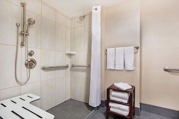 Standard Room, 1 King Bed, Mobility Accessible (Roll-In Shower)