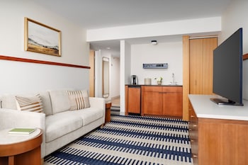 Standard Suite, 1 King Bed with Sofa bed
