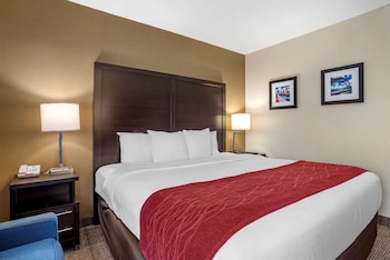 Room, 1 Queen Bed, Accessible, Non Smoking