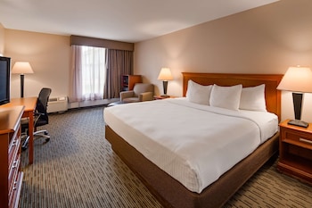 Standard Room, 1 King Bed, Non Smoking, Refrigerator & Microwave (Larger Room)