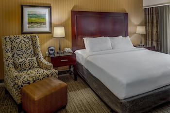 Room, 1 King Bed (Roll-In Shower)