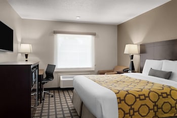 Room, 1 King Bed, Non Smoking
