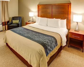 Standard Room, 1 King Bed, Non Smoking