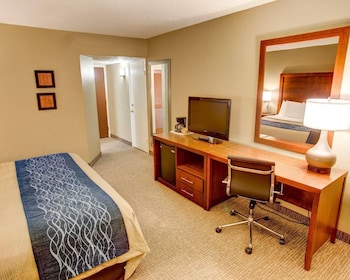 Standard Room, 1 King Bed, Non Smoking