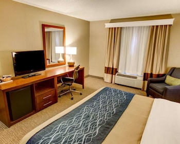 Standard Room, 1 King Bed, Non Smoking
