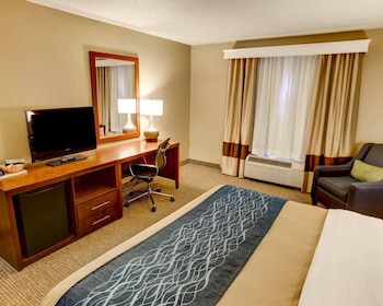 Standard Room, 1 King Bed, Non Smoking