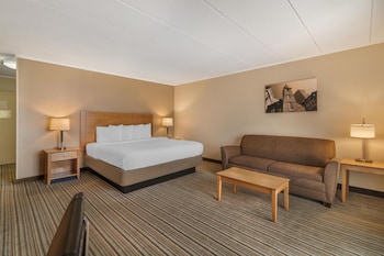 Standard Room, 1 King Bed, Non Smoking, Balcony (with Sofabed)