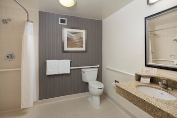 Room, 1 King Bed (Mobility/Hearing Access, Roll-In Shwr)