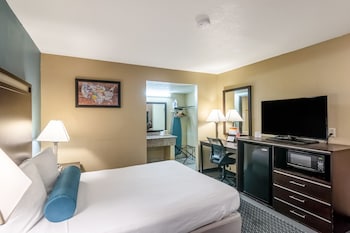 Room, 1 King Bed