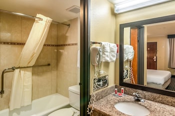 Room, 1 King Bed