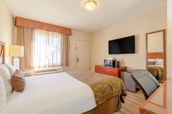 Room, 1 Queen Bed, Non Smoking