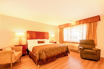 Deluxe Room, 1 King Bed, Non Smoking