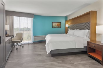 Standard Room, 1 King Bed, Accessible (Communications, Accessible Tub)