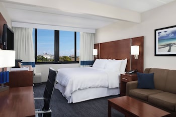 Room, 1 King Bed, Hearing Accessible (Roll-in Shower)