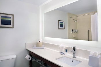Room, 1 King Bed, Hearing Accessible (Roll-in Shower)