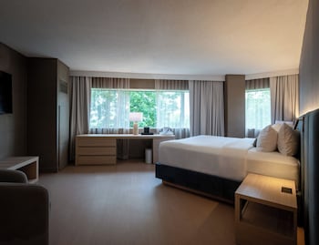 Luxe Panoramic King View