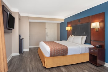 Room, 1 King Bed