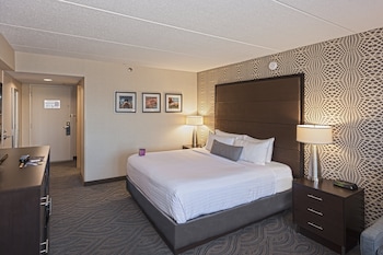 Standard Room, 1 King Bed with Sofa bed