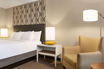 Room, 1 King Bed, Non Smoking