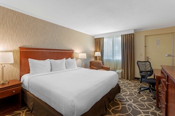 Standard Room, 1 King Bed, Non Smoking