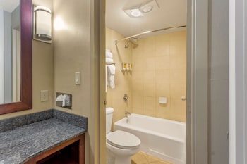 Standard Room, 1 King Bed, Non Smoking, Refrigerator & Microwave (Pet Friendly)