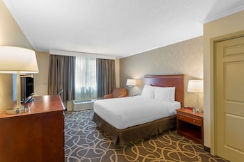 Standard Room, 1 King Bed, Accessible, Refrigerator & Microwave (Pet Friendly)