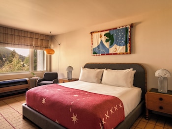 Room, 1 King Bed (ADA, Grab Bars)