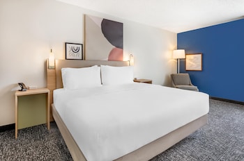 Room, 1 King Bed, Accessible (Roll-In Shower)