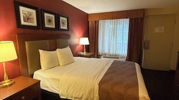 Single Room, 1 Queen Bed