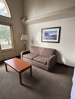 Standard Room, 1 King Bed, Non Smoking, Kitchen (Dining Table;with Sofabed)