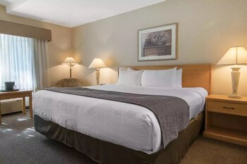 Business Room, 1 King Bed, Non Smoking