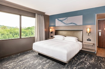 Room, 1 King Bed (Mobility Accessible, Tub)