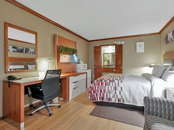 Superior Room, 1 King Bed, Accessible, Non Smoking