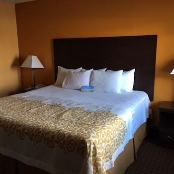 Room, 1 King Bed, Accessible, Non Smoking (Roll-In Shower)
