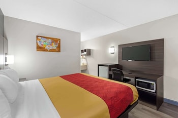 Room, 1 King Bed, Smoking