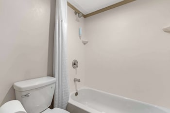 Standard Room, 1 Double Bed, Non Smoking