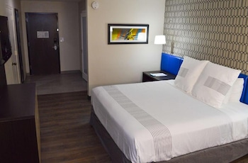 Standard Single Room, 1 King Bed