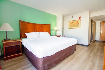 Room, 1 King Bed, Accessible