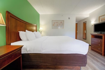 Room, 1 King Bed