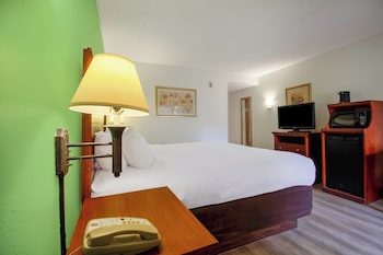 Room, 1 King Bed