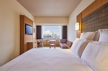 Swiss Advantage Room, Room, 1 King Bed